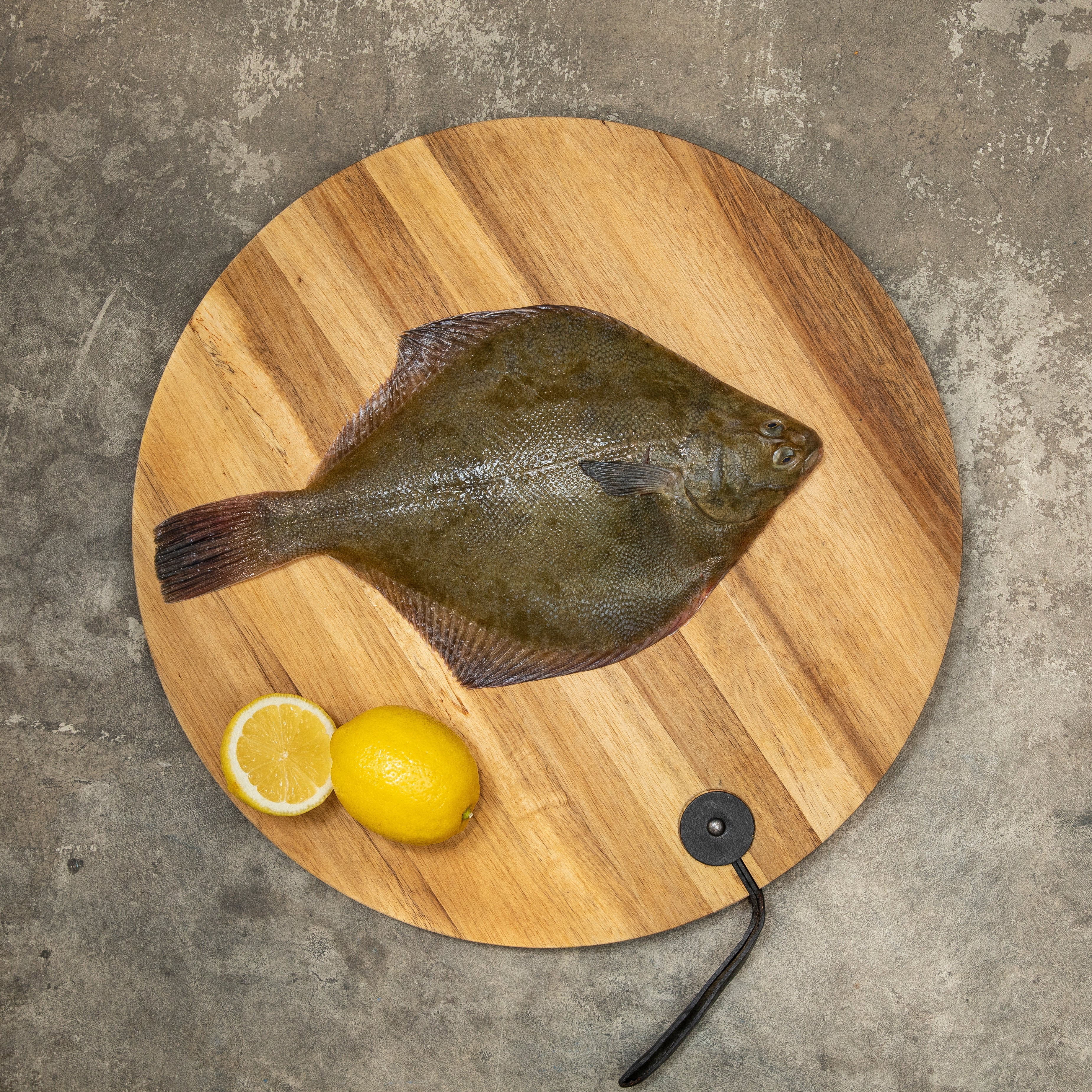 Fresh Fluke Fish, Whole